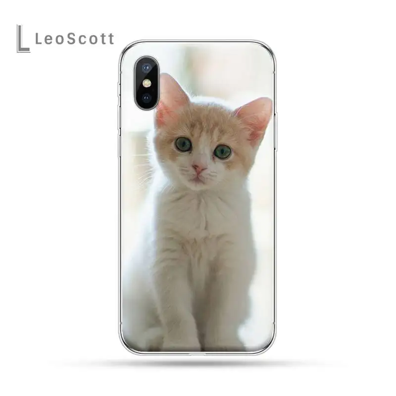 

cat Cute animal Phone Cases For iphone 12 5 5s 5c se 6 6s 7 8 plus x xs xr 11 pro max
