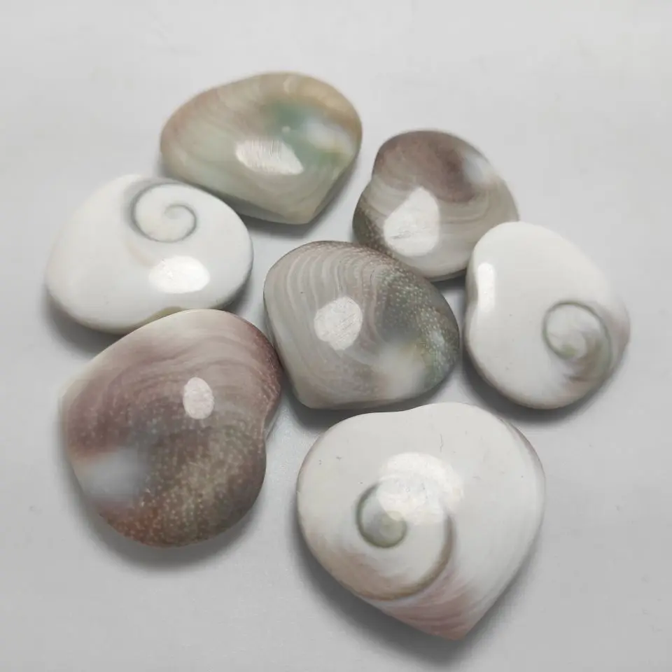 5 шт. натуральная ракушка от солнца ископаемый образец кристалл любовь сердце