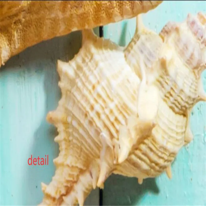 Синяя деревянная доска средиземноморская Морская раковина океан Стиль фон