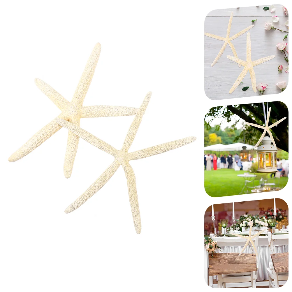 

2pcs Natural Sea Star Prop Wedding Unique Sea Star Decor Craft Pretty Sea Star