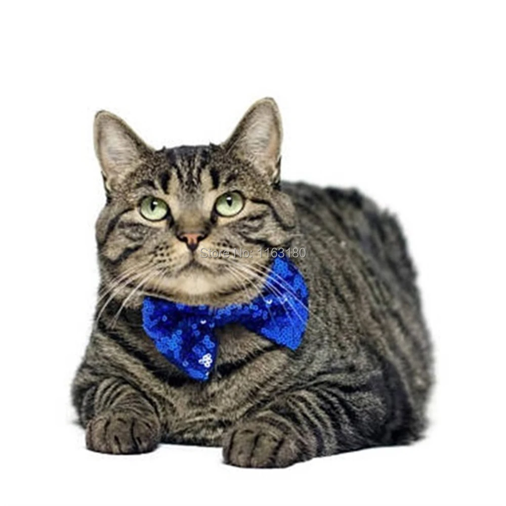 

100 шт./лот, модный галстук-бабочка с блестками для домашних животных, галстук-бабочка для кошек, ошейник для домашних животных на день рождения, Рождество, одежда для домашних животных, аксессуары, товары для домашних животных