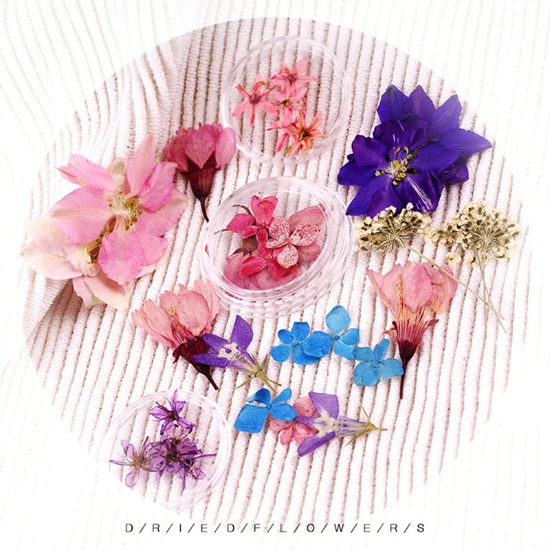 1 коробка цветов для нейл-арта 3D украшения ногтей сушеные цветы листья