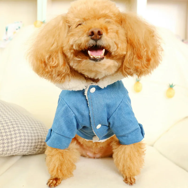 Теплая джинсовая куртка для собак Одежда животных модное зимнее Синее джинсовое