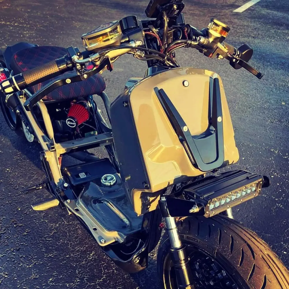 Honda Ruckus nps50