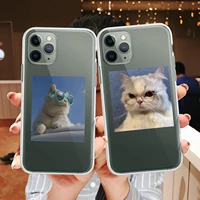 cute cat transparent phone case for iphone 13 12 mini 11 pro x xr xs max 8 7 6 plus 5 se 2020 fashion silicone protective sleeve