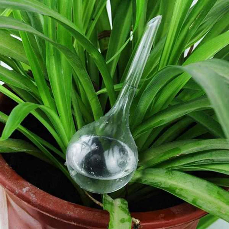 5 Pcs Automatic Watering Device Globes Vacation Houseplant Plant Pot Bulbs Garden Waterer Flower Water Drip | Дом и сад
