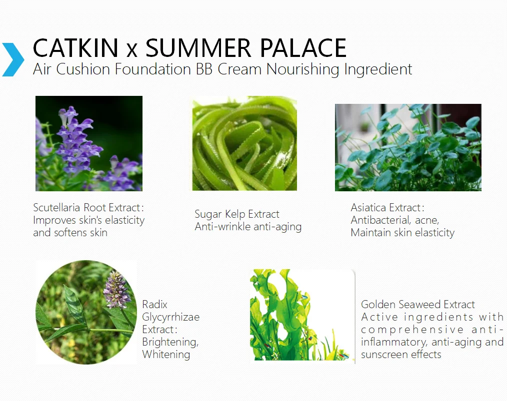 CATKIN BB крем Air Cushion основа влага натуральная крышка консилер+ бесплатно заправка средний/легкий 0,46 унций