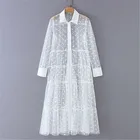 Женское прозрачное Сетчатое платье в горошек, длинное платье-рубашка с длинным рукавом и отворотами, 2019