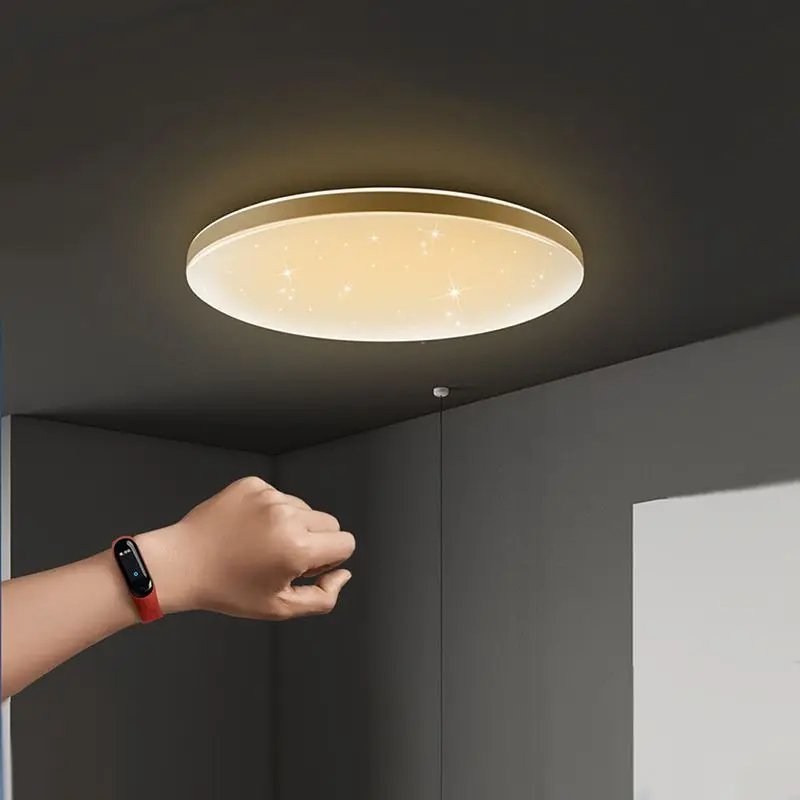 

220-240V 28W Smart Wifi Modern Bluetooth Light Bedroom Lamps Ceiling Light Starry Lampshade Stepless Dimming APP Remote Control