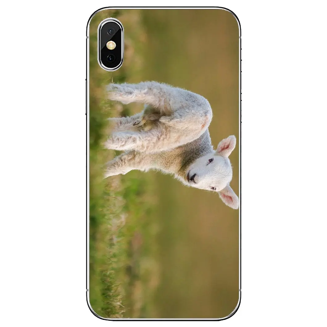 Чехол для Xiaomi Mi A1 A2 A3 5X 6X 8 9 9T 10 10T 11 Lite SE Pro | Мобильные телефоны и аксессуары