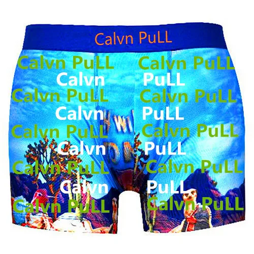 R Новое поступление топы бренд calvn pull пляжное нижнее белье мужские боксеры шорты сексуальные Фламинго взрослые трусы быстросохнущие s m l xl - Цвет: R
