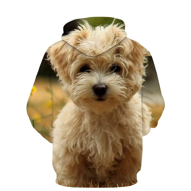 

2021 Labrador Retriever 3D Printed Hoodies Men/Women Casual Hooded Sweatshirt Fashion Pullover Streetwear Hip Hop Harajuku Tops