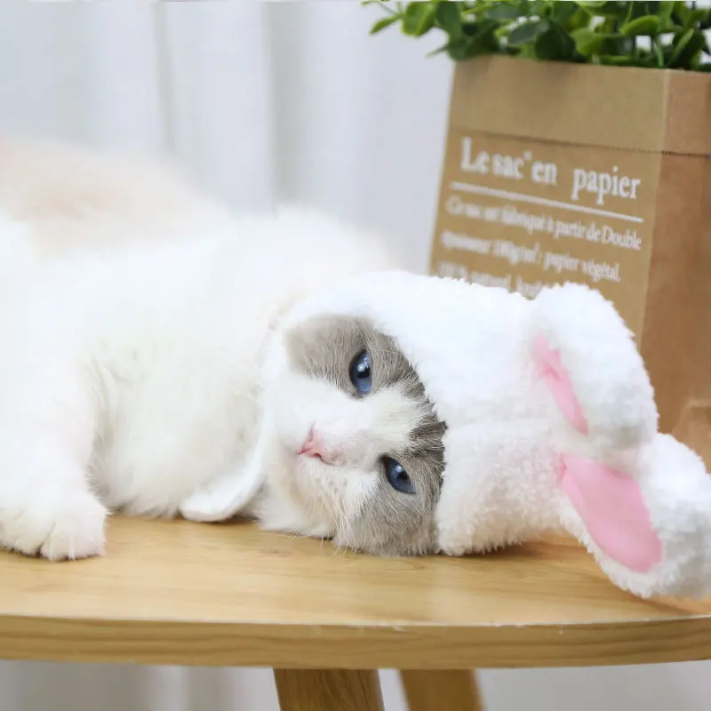 

Pet Products Rabbit Ears Headdress Pet Plush Rabbit Hat Bunny Ears Cats Dogs Performance Props Cosplay Costumes Cat Supplies