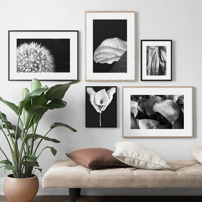 

Black and White Botanical Poster Leaves Dandelion Canvas Print Wall Art Painting Nordic Picture Modern Living Room Decoration