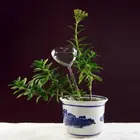 Высокое качество, милая птица, гриб, самополивающаяся растительная поилка, стеклянные растения, цветы, подача воды