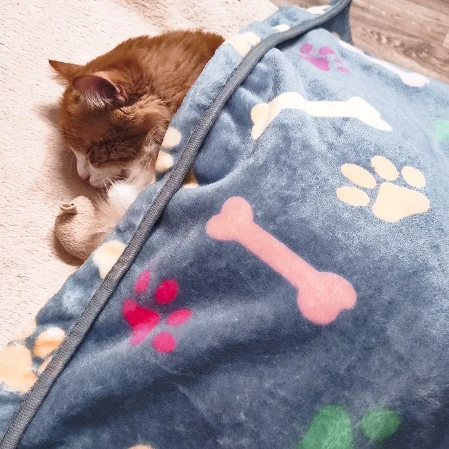 Мягкая и пушистая Одеяло для собак теплая фланелевая Флисовое одеяло животных на