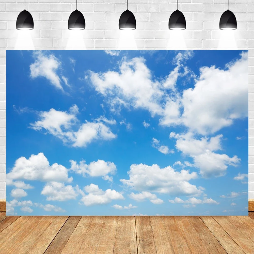 Фон для фотостудии с изображением неба облаков природы портрета ребенка дня