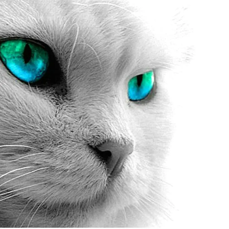 

Алмазная живопись, кошачьи голубые глаза, полноразмерная/круглая алмазная живопись, искусство ручной работы