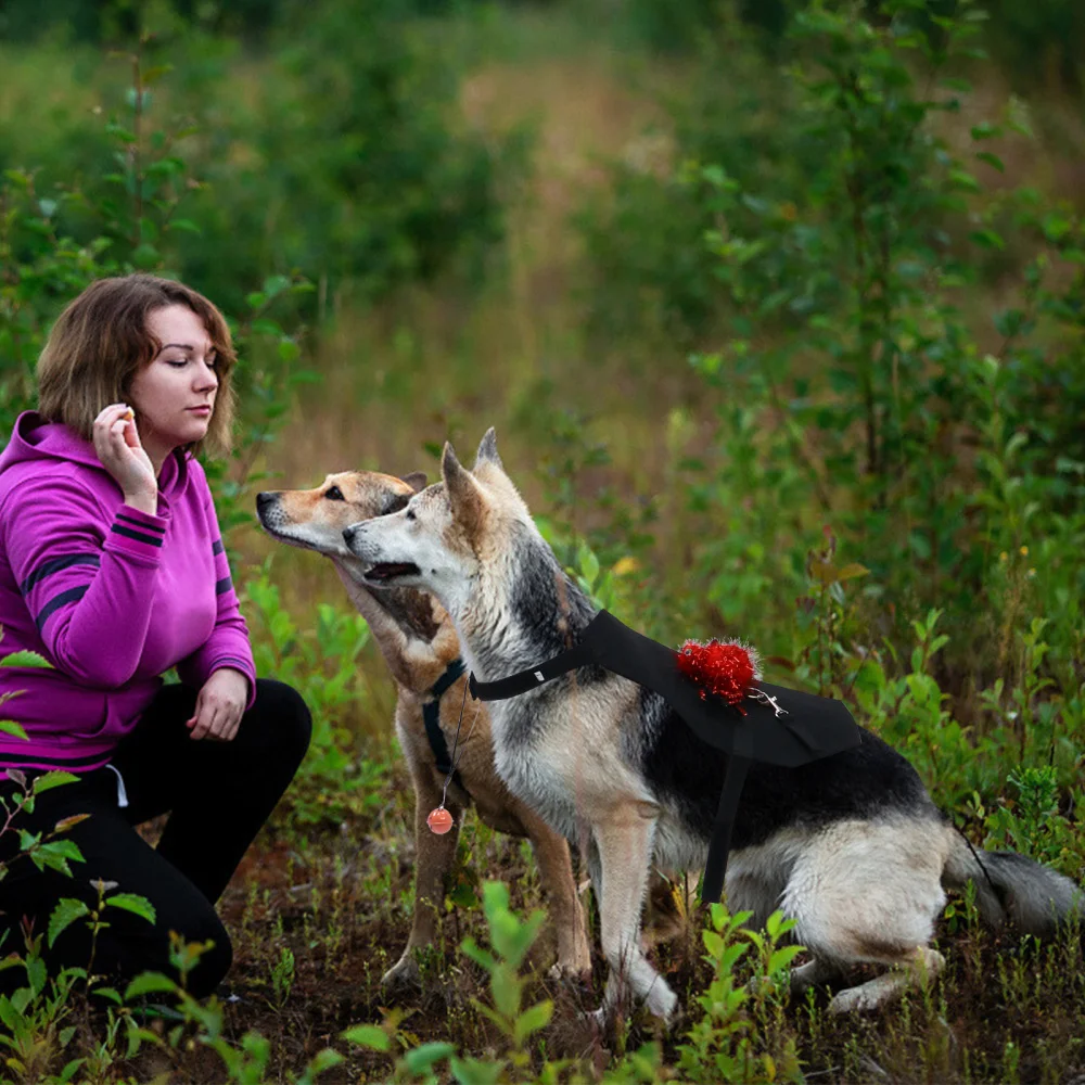 1Pc Pet Spider Costume Dog Clothes Party Supplies Gift | Дом и сад