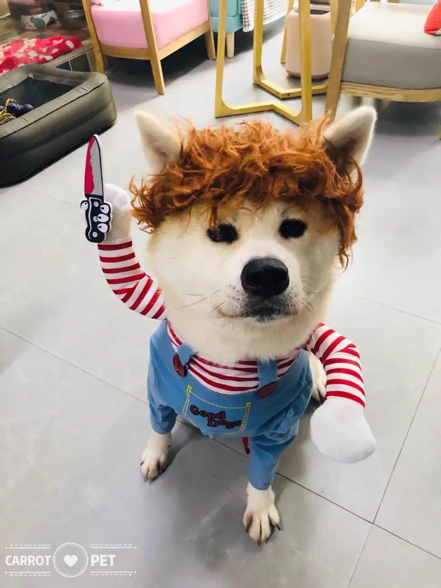 

Halloween costume designer dog yorkie dressed clothes dog costume clothes for small dog