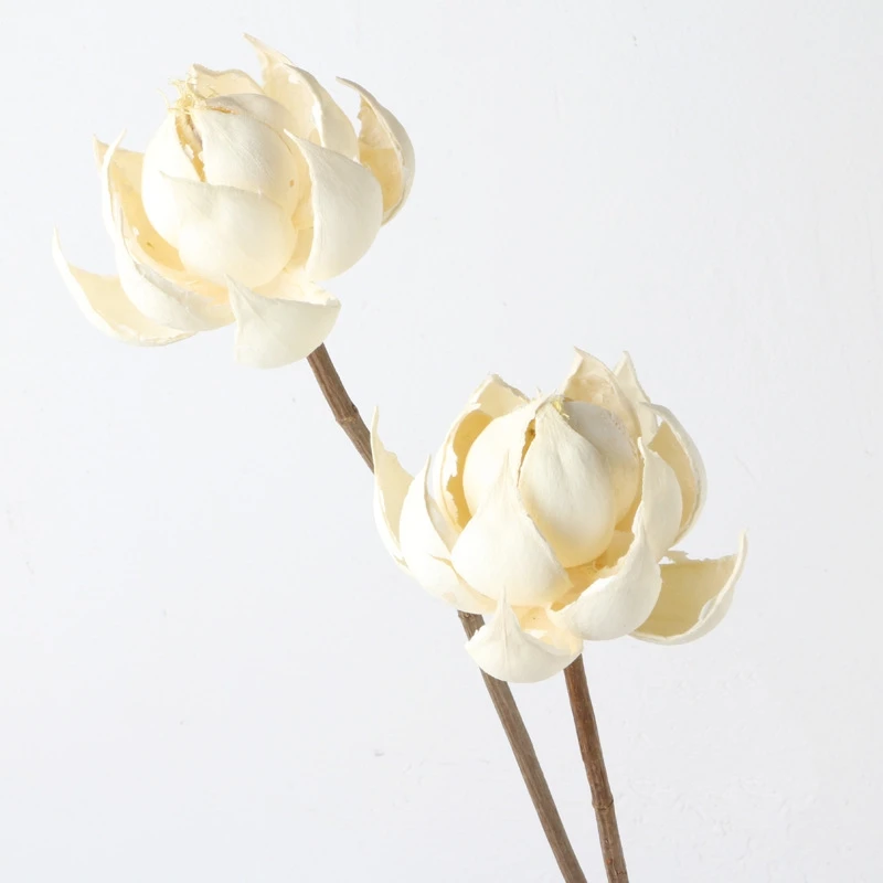 

Valentine Gift Newyear Wedding Home Decoration Handmade Preserved Real Handmade Flower Colorful Lantern Lotus Floral Arrangement