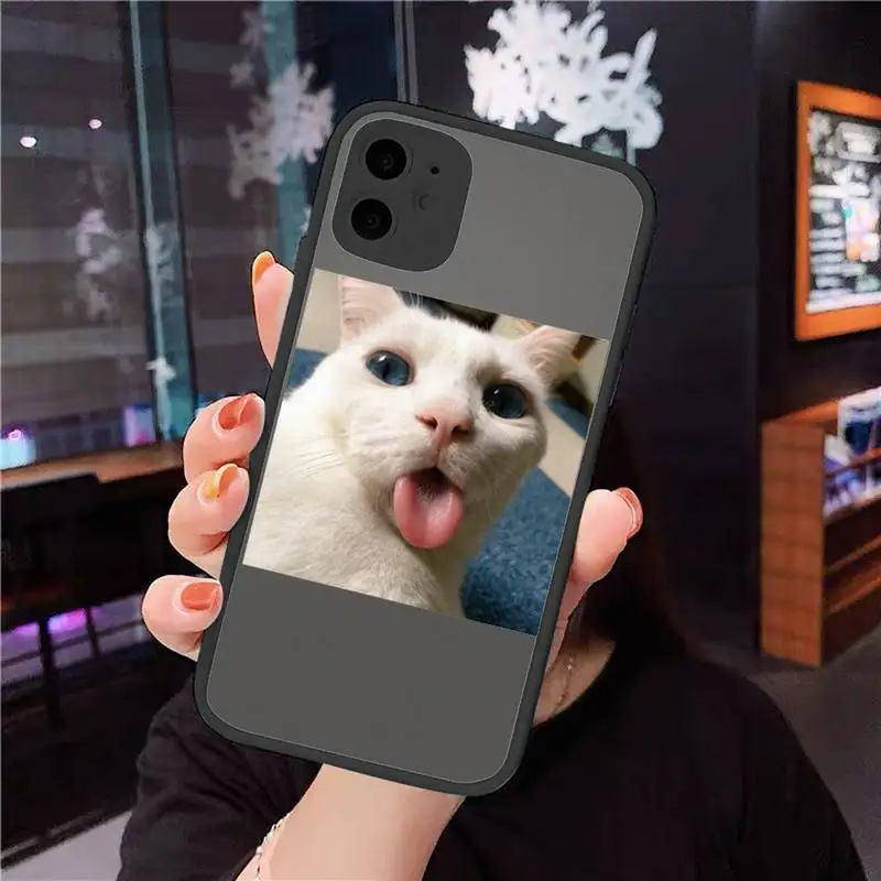 

Cute Cats New Year Gifts Phone Cases matte transparent For iphone 7 8 11 12 plus mini x xs xr pro max cover