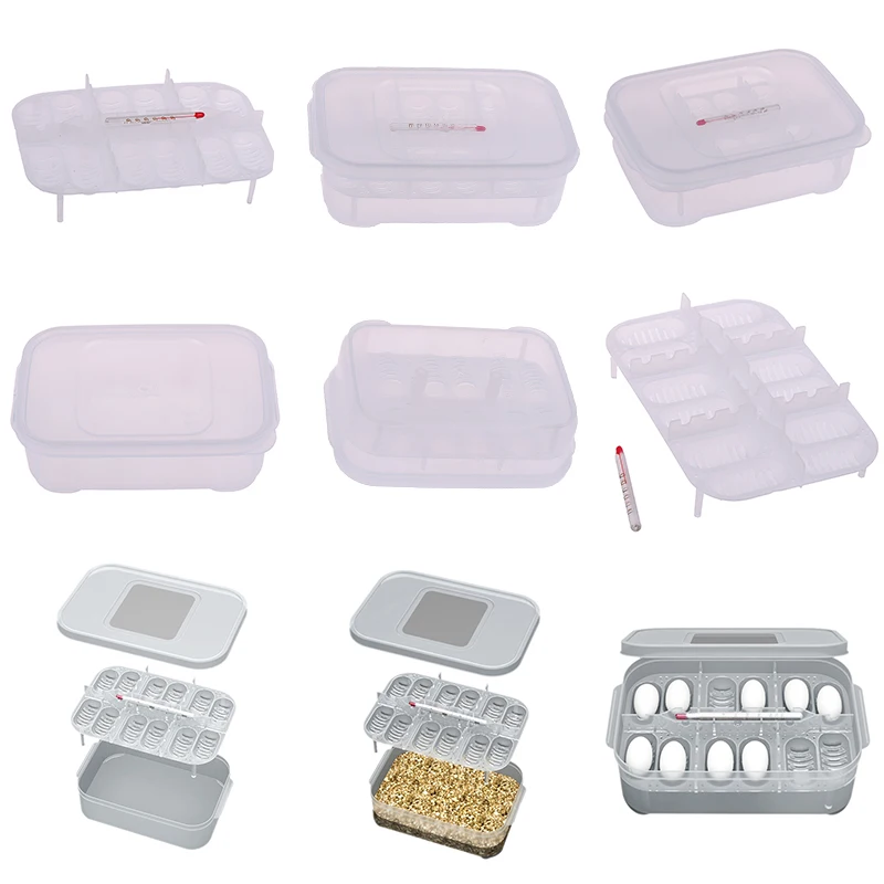 

DIY 12 Reptile Egg Incubator Tray Thermometer Incubation Gecko Lizard Snake Incubator