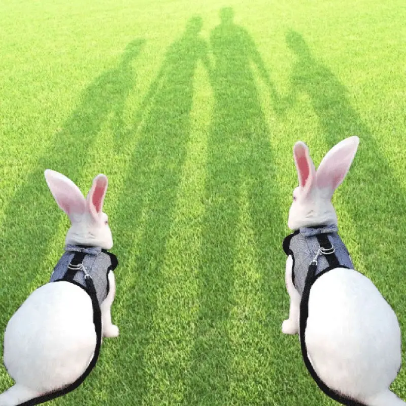 Поводок кролика свинцовый жилет для маленьких животных сетчатый хлопковый хомяк