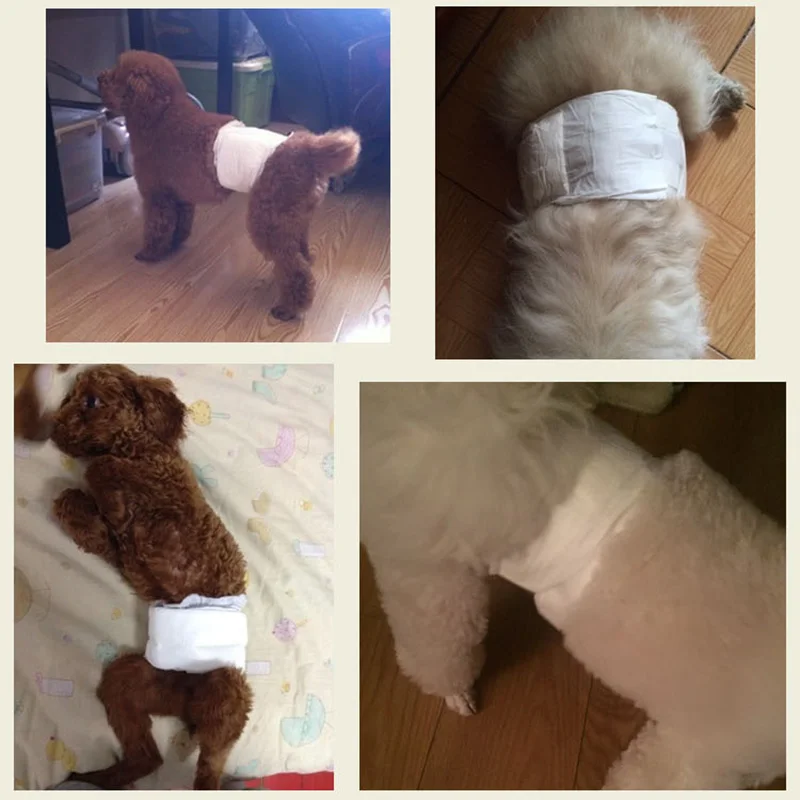 Pet Dog Diapers Male Dogs Paper Physiological Diaper Disposable Male Wraps Sanitary Pants Physiological Pants for Pet Dogs images - 6