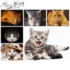 Алмазная живопись с изображением кота, животных, алмазная вышивка, круглаяквадратная, сделай сам, рукоделие, мозаика, поделки, рождественский подарок, домашний декор