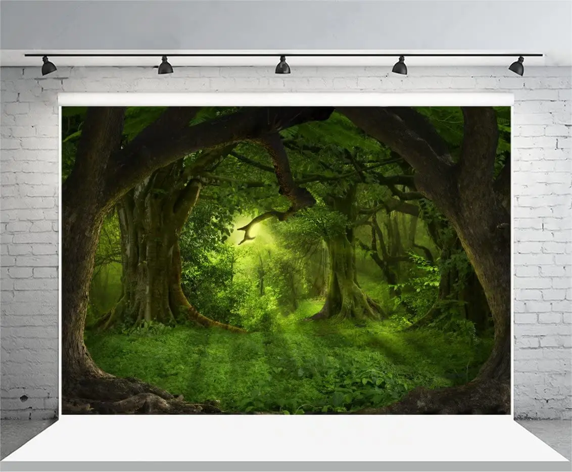 Фотофон джунгли древние деревья зеленый лес солнечные лучи мечта Сказочный
