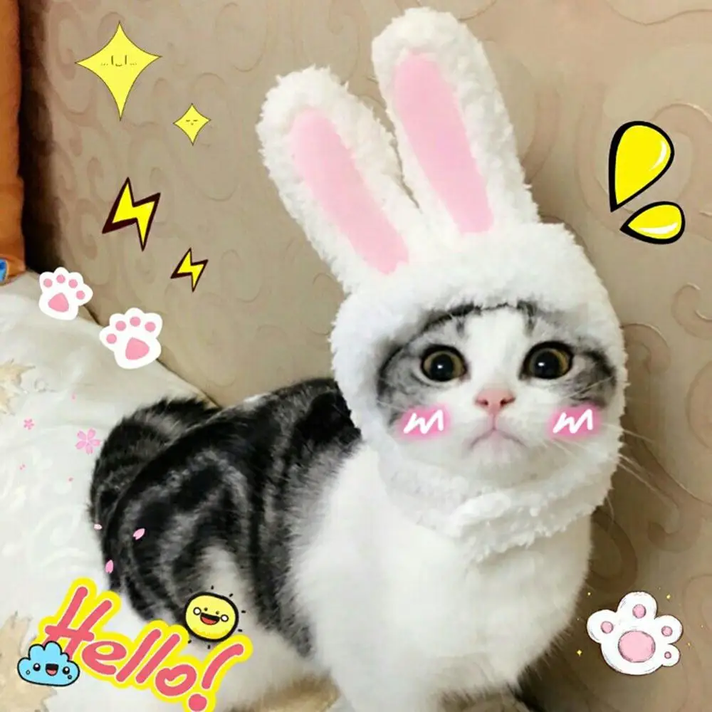 Costume Bunny Rabbit Hat with Ears for Cats &amp Small Dogs Party Accessory Headwear | Дом и сад