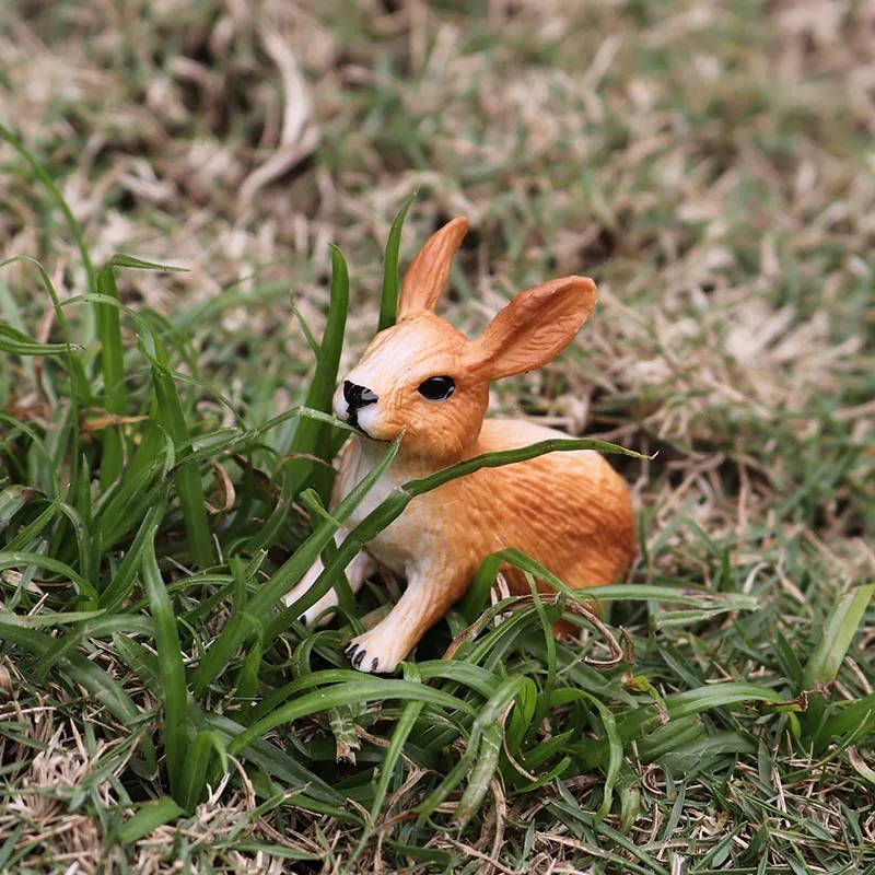 4 шт. детская игрушка кролик|animal model|animes actiontoys for |
