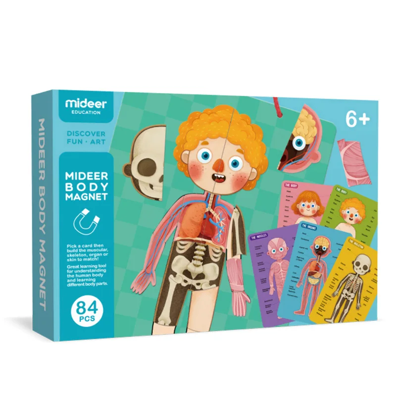 Human cognition MiDeer детские игрушки-головоломки магнитное тело 6Y+ мышечная костная структура познавательная подвесная доска образование творческие игрушки для детей - Цвет: Human cognition