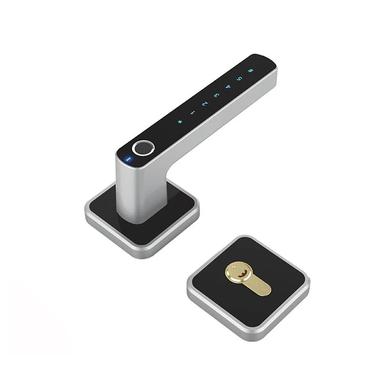 

TORDDEN Fingerprint Password Smart Lock E32 For Wooden Door