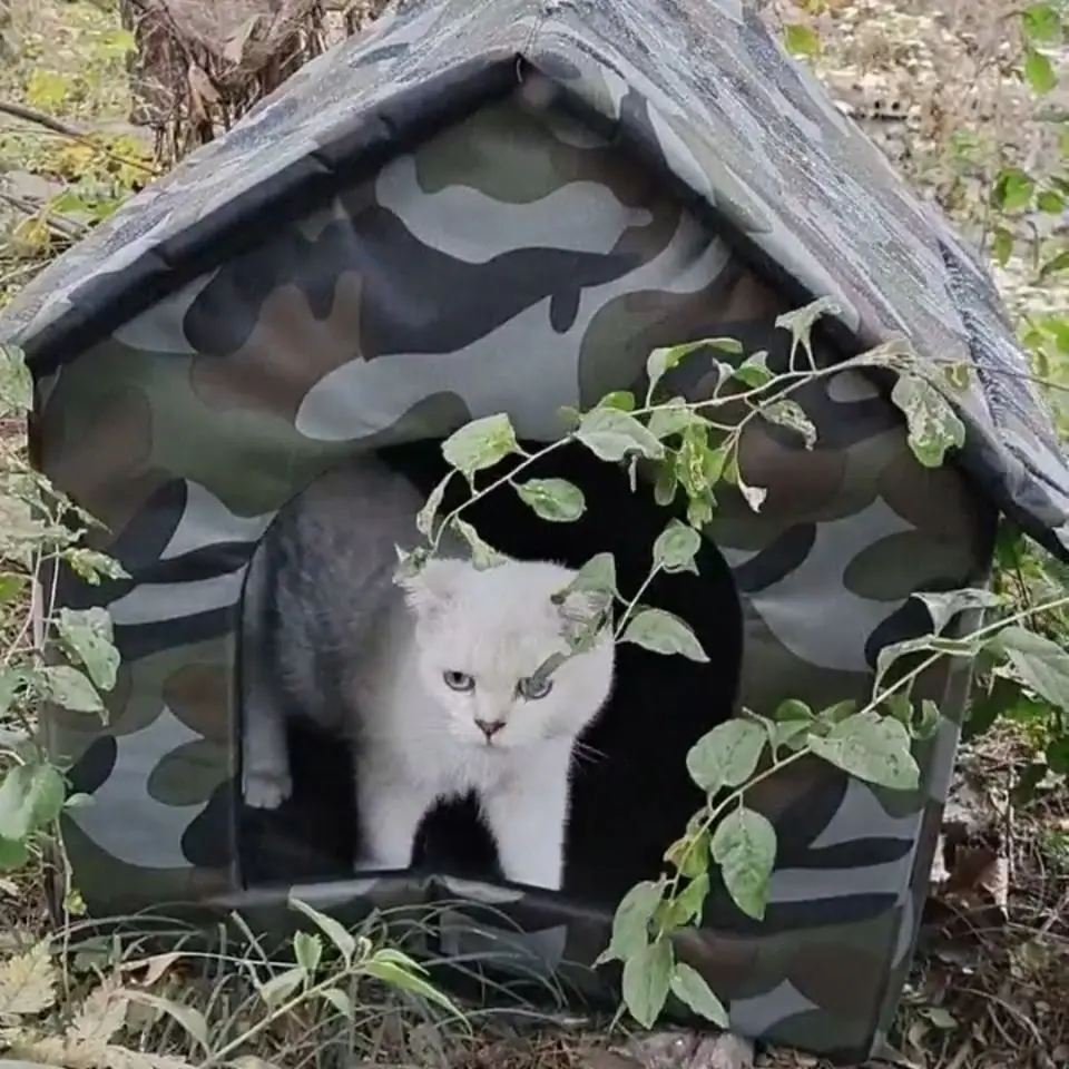 

Cat litter and kennel warm in winter, thick, waterproof, dirt-resistant and bite-resistant pet teddy dog ​​removable and washabl