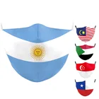 Аргентина, Чили, дневная маска для взрослых и детей, многоразовая маска для лица, Малайзия, Сингапур, Судан, моющаяся маска для лица с принтом