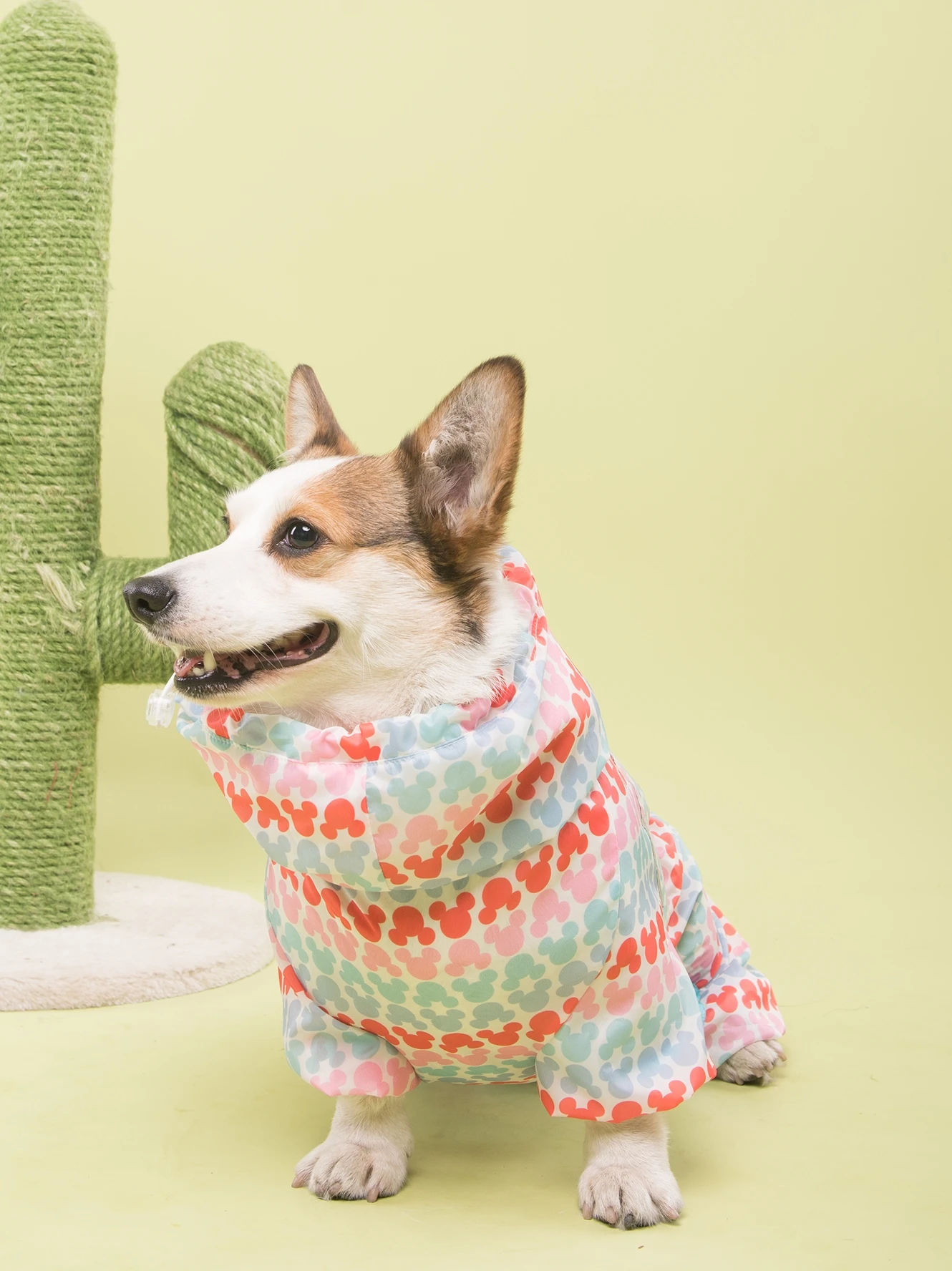 Дождевик для маленьких собак водонепроницаемая куртка одежда Umbrella дождевая Corgi