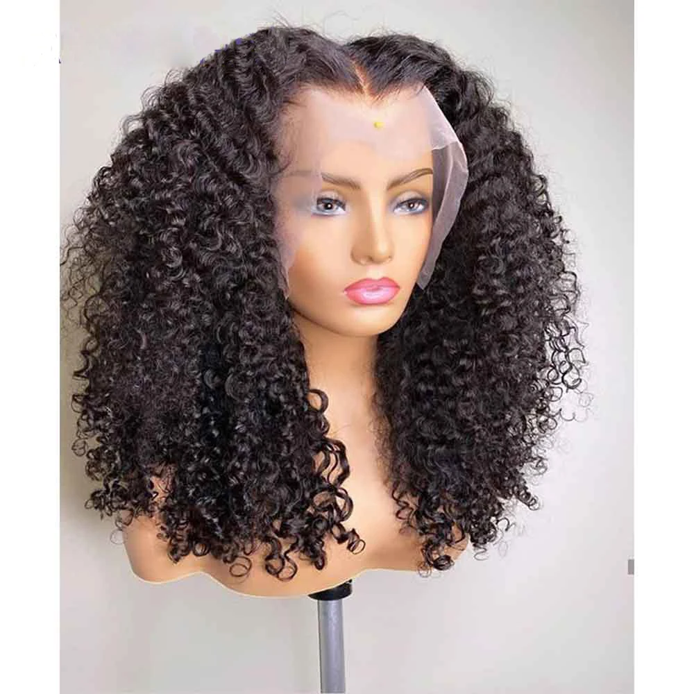 

Black Middle Part Kinky Curly Human Hair Jewish Wigs Brazilian Hair Swiss Lace Top Wig Virgin Hair Wigs For Black/White Women