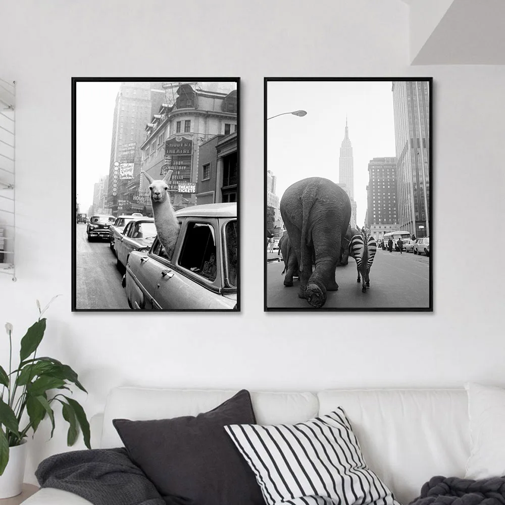 

Animal Alpaca Elephant Zebra Animal Poster Black White Canvas Paintings In New York City Wall Art Print Nordic Living Room Decor