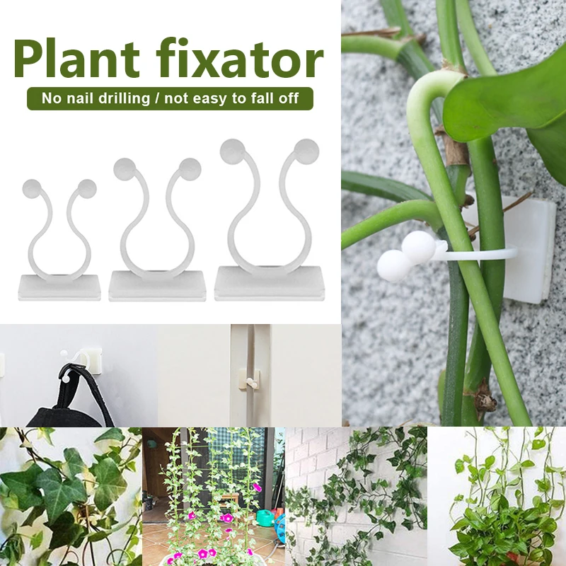 

10/50pcs Plant climbing wall Self-Adhesive Fastener Tied fixture Vine Buckle Hook Garden Plant Wall Climbing Vine Clips Fixed