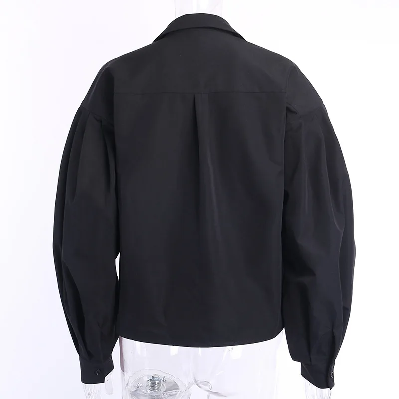 2020 Fashion Women's  Color Long Sleeve Lantern Sleeve Lapel Loose Blouse Fall Winter New button up shirt Chiffon  Regular