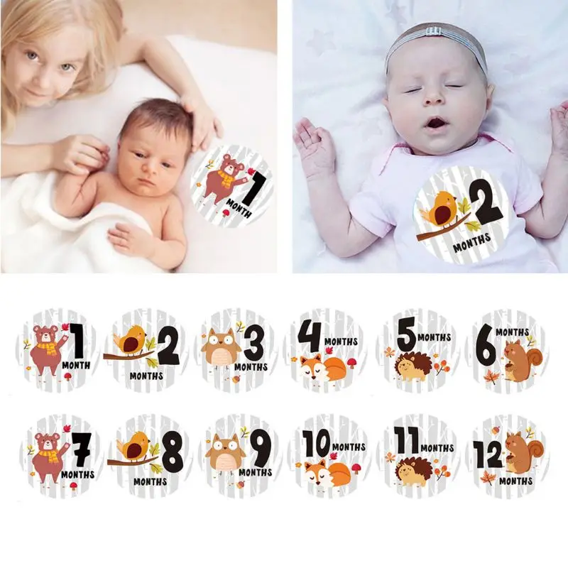 

Milestone Photo Sharing Baby Belly Stickers 1-12 Months for Photo Keepsakes
