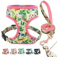 nylon dog harness and leash set fashion printed no pull pet dog harness vest lead leashes for small medium large dogs