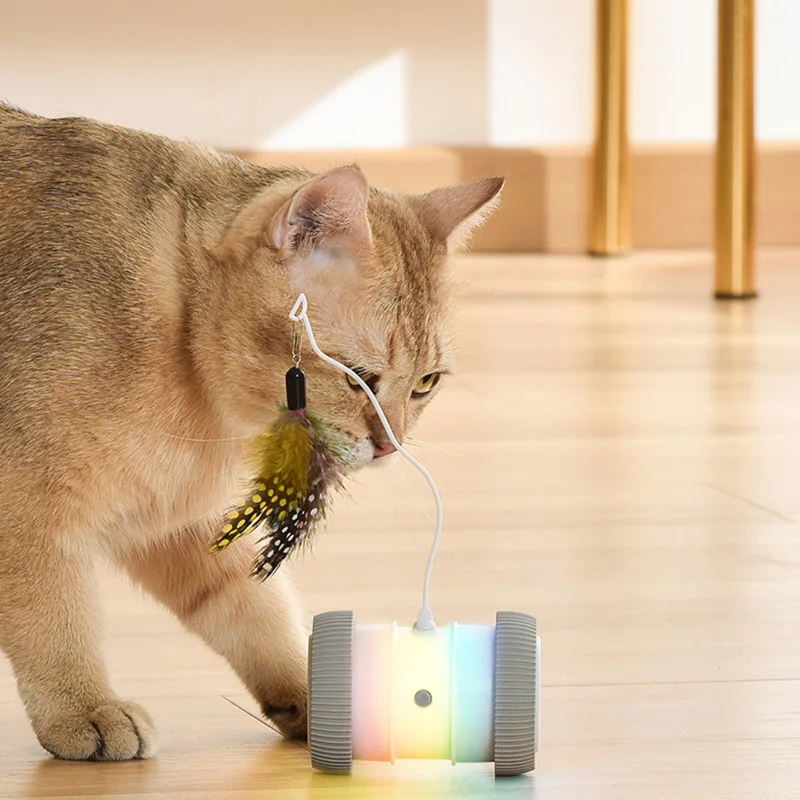 Automatic Cat Toy Roller Training Smart Feather Toys Playing Self Interactive ABS Toys for Pet Cats Training Fun Games Indoor