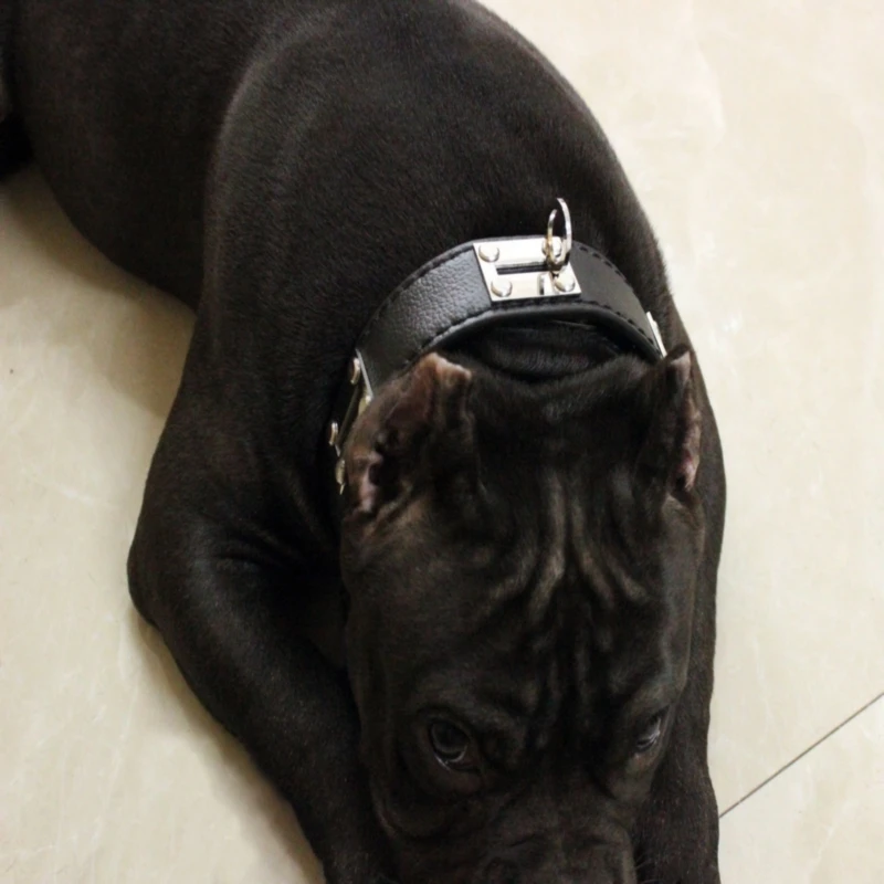 Регулируемый ошейник из натуральной кожи высокого качества | Дом и сад