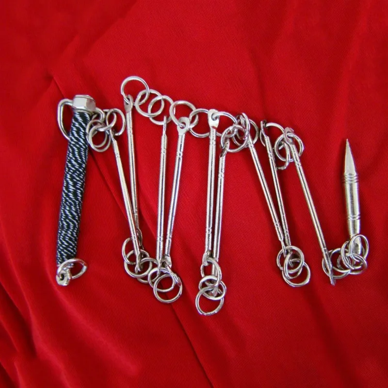 Nine section Whip Китайский традиционный боевое искусство представление тренировочный