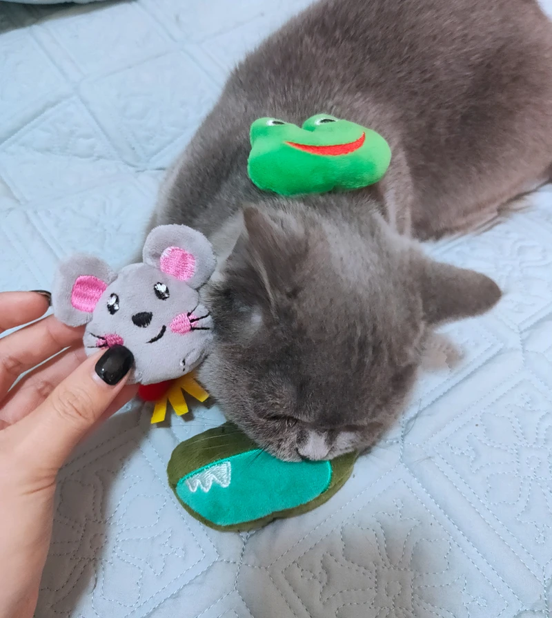 Новая игрушка С Кошачьей Мятой Huggie the grey Mouse забавная для кошек с настоящей внутри