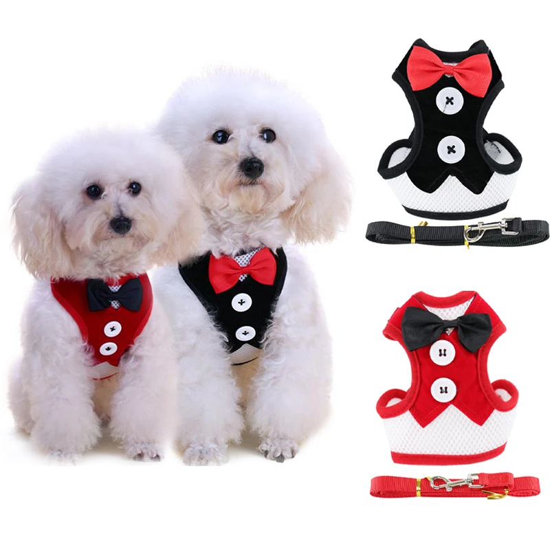 

Dog Cat Harness Leash Cute Bow Knot Adjustable Chest Belt For Small Dogs Walking Traction Rope Pet Chest Strap Leashes Sets