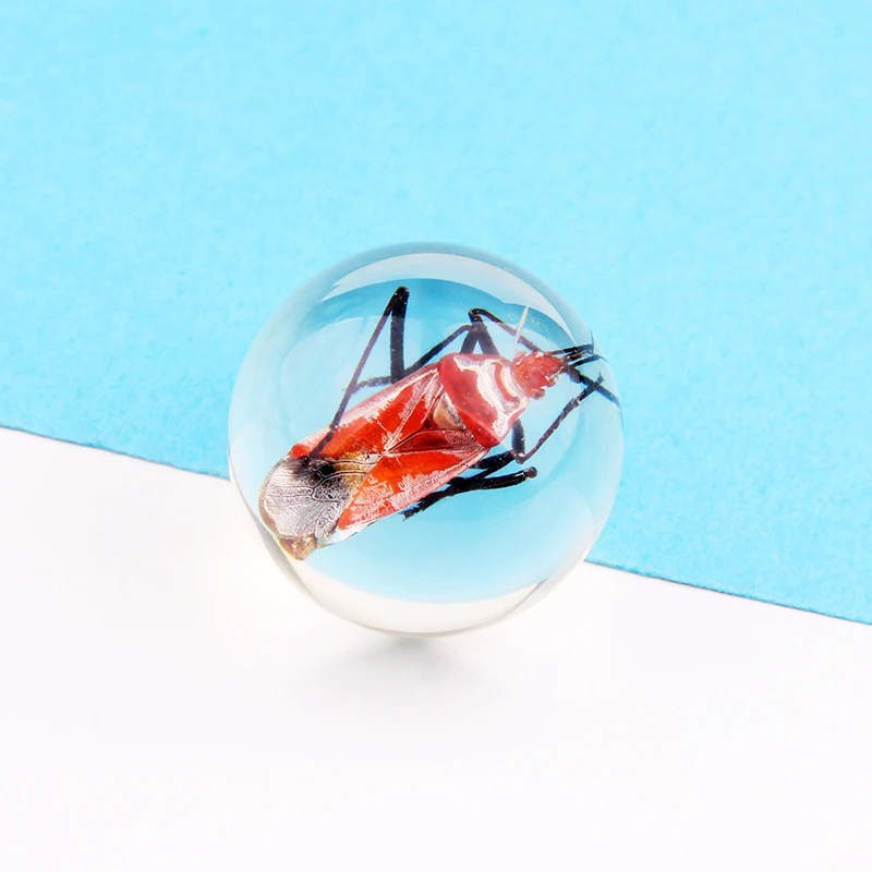 Новые Детские обучающие игрушки для биологии зеркальные образцы из прозрачной